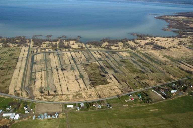 NicoletSud et BaieduFebvre un refuge pour les espèces menacées Le