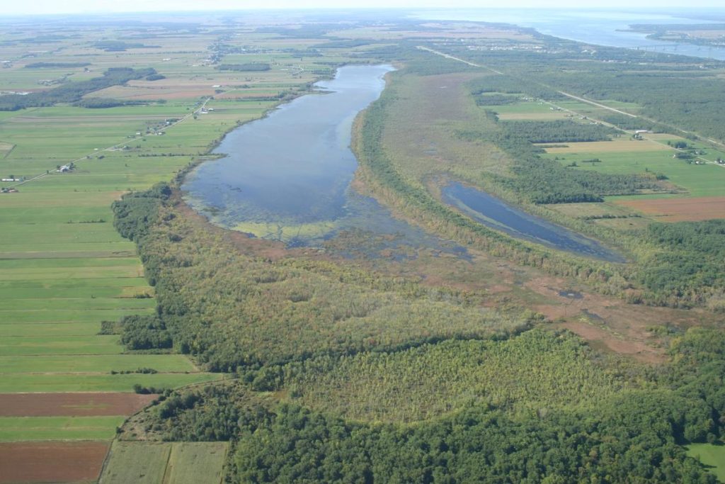 Le lac SaintPaul l'un des pires au Québec Le Courrier Sud