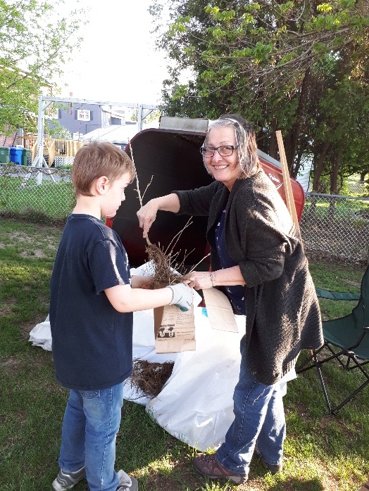BaieduFebvre célèbre en grand le mois de l'arbre et des forêts Le