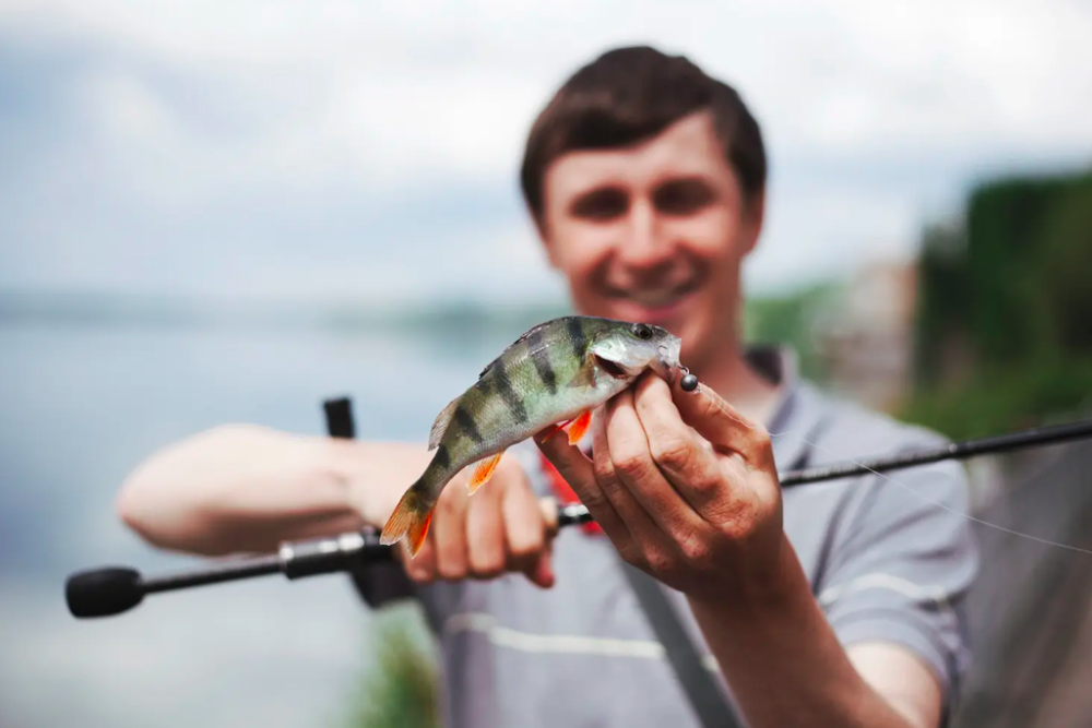 Homme en train de montrer un poisson qu’il vient de pêcher