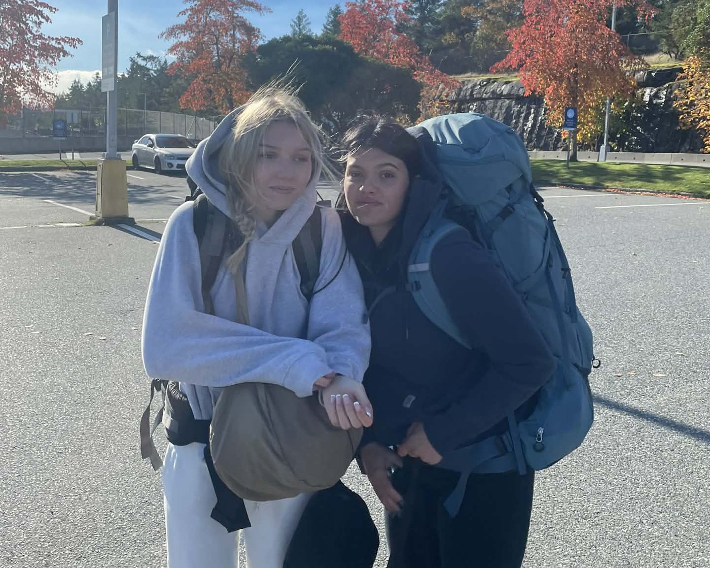 LAustralie va abattre les dingos ayant encerclé le corps dune Canadienne